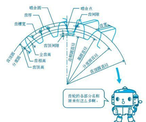 齿轮参数示意图